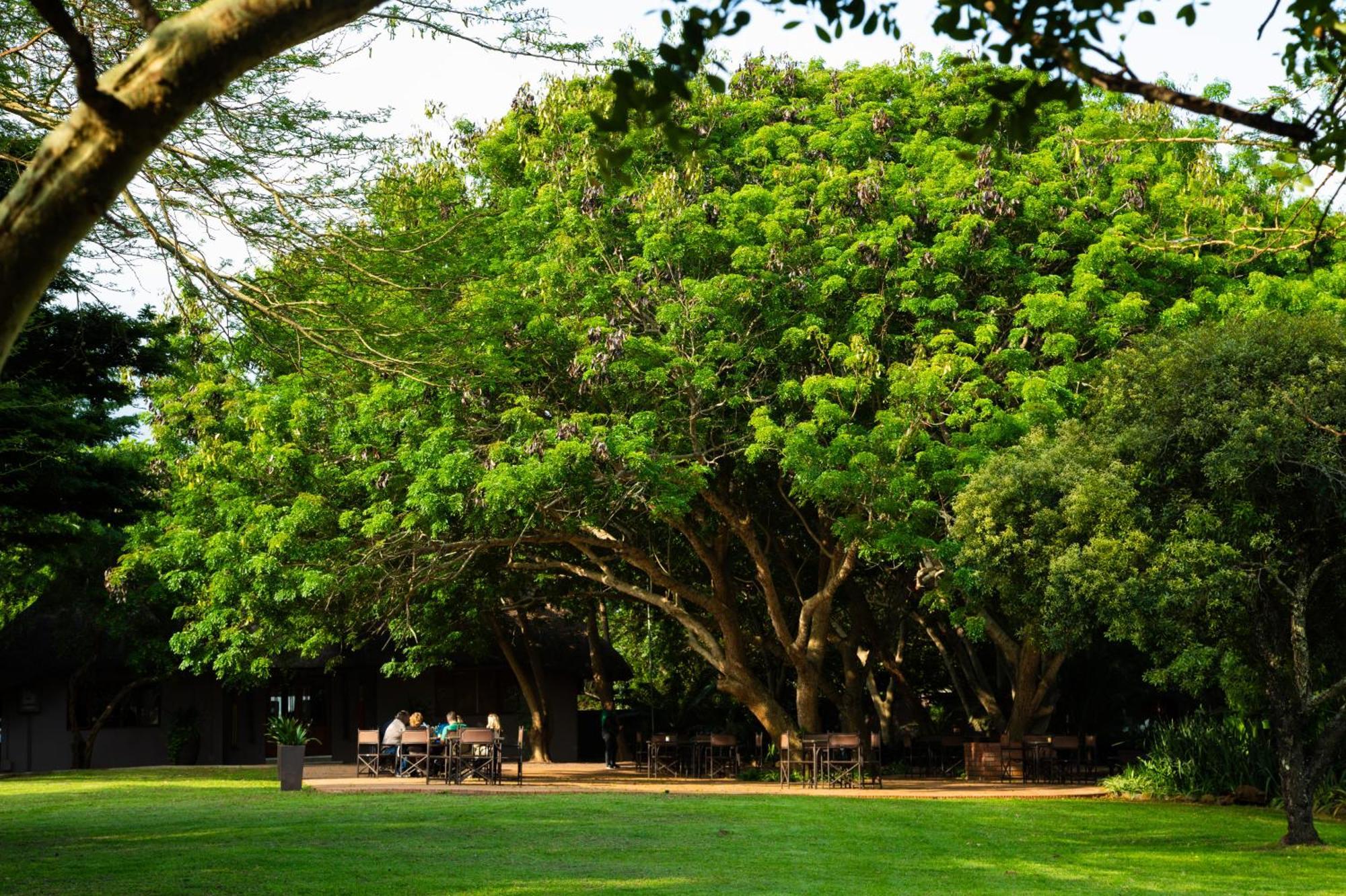 Falaza Game Park&Spa Hluhluwe Bagian luar foto